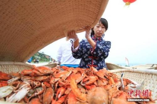 红姐论坛资料大全,红姐论坛资料大全，深度探索与体验