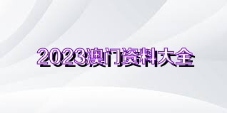 2023澳门正版全年免费资料,关于澳门正版全年免费资料的探讨与警示