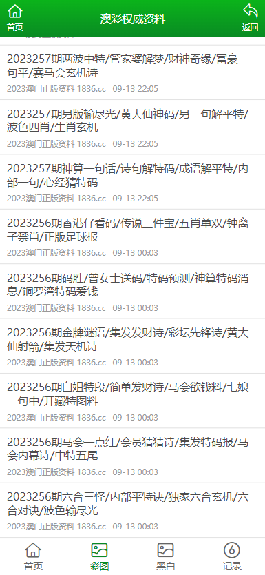 2024年澳门正版资料全年灬,澳门正版资料全年解析，探索2024年的无限可能